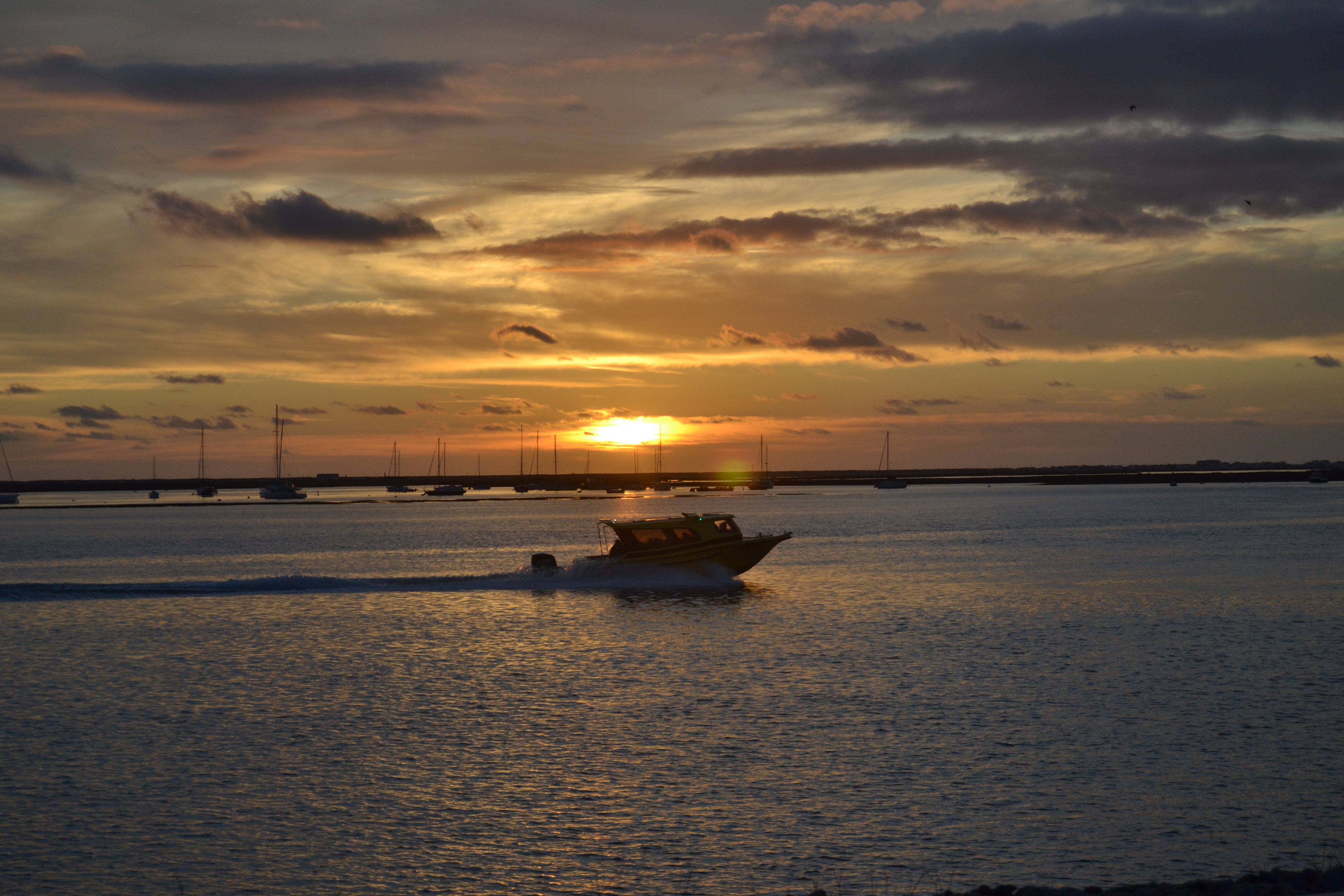 Marine Expeditions