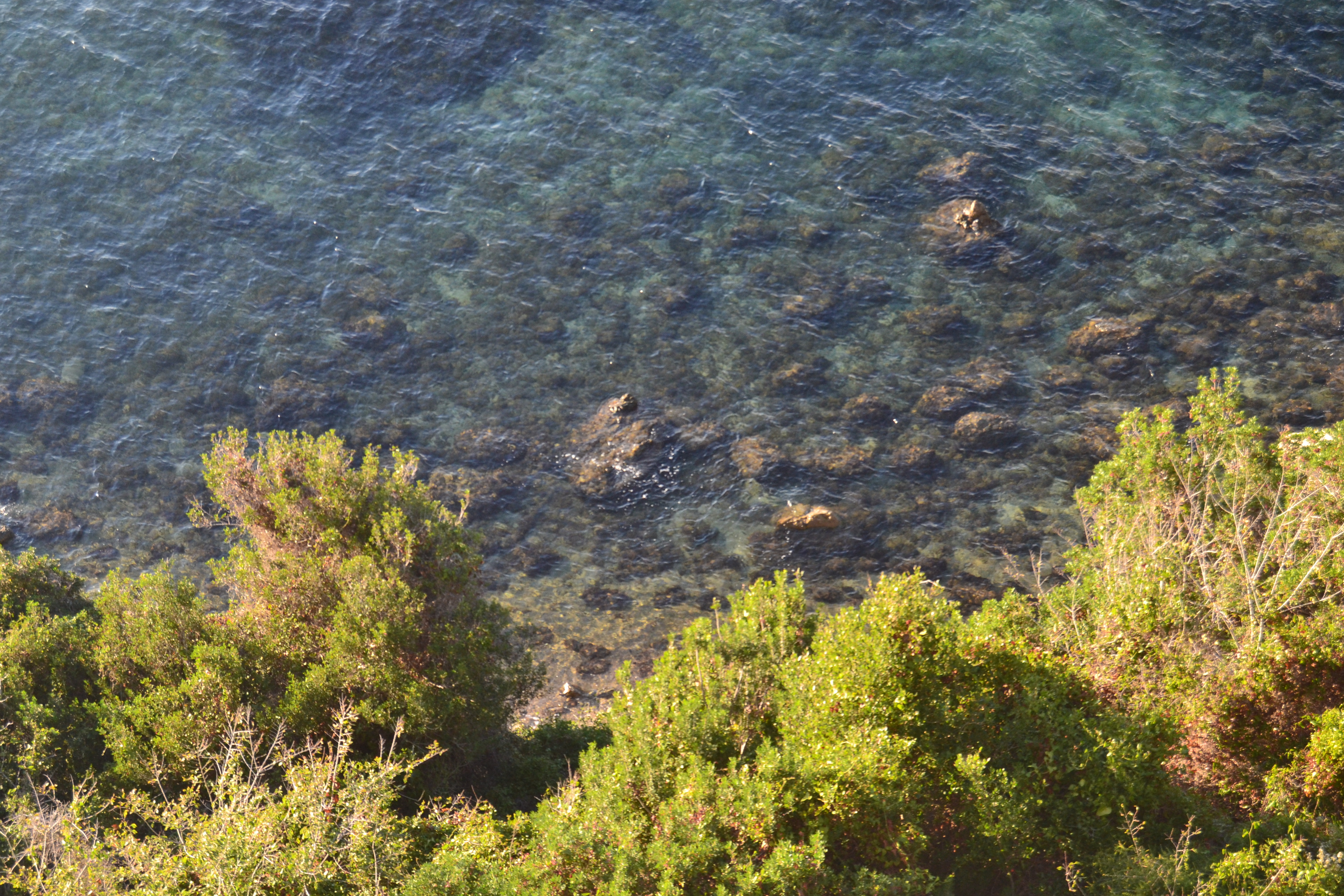Lérins Islands