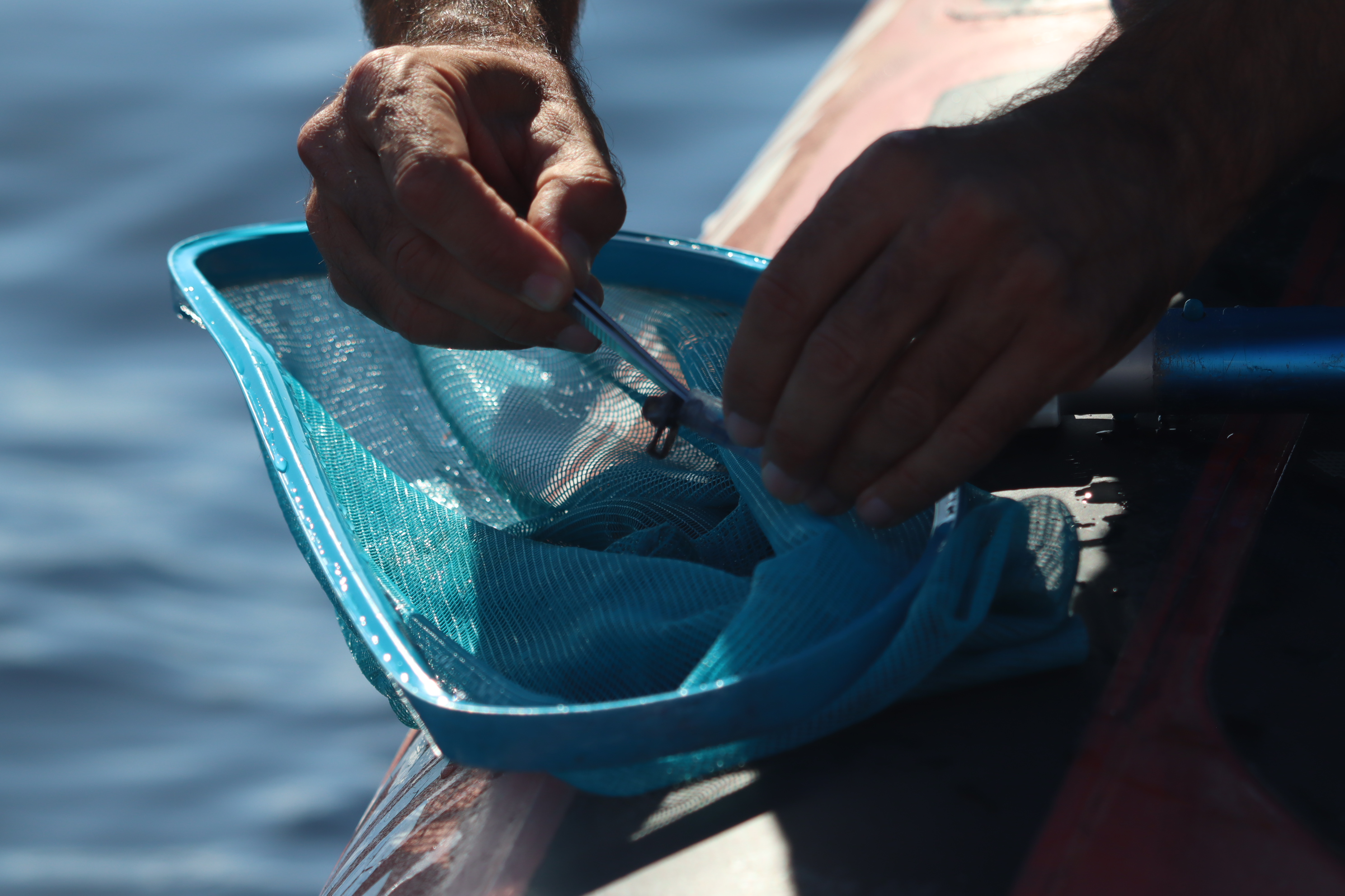 Biological Samples
