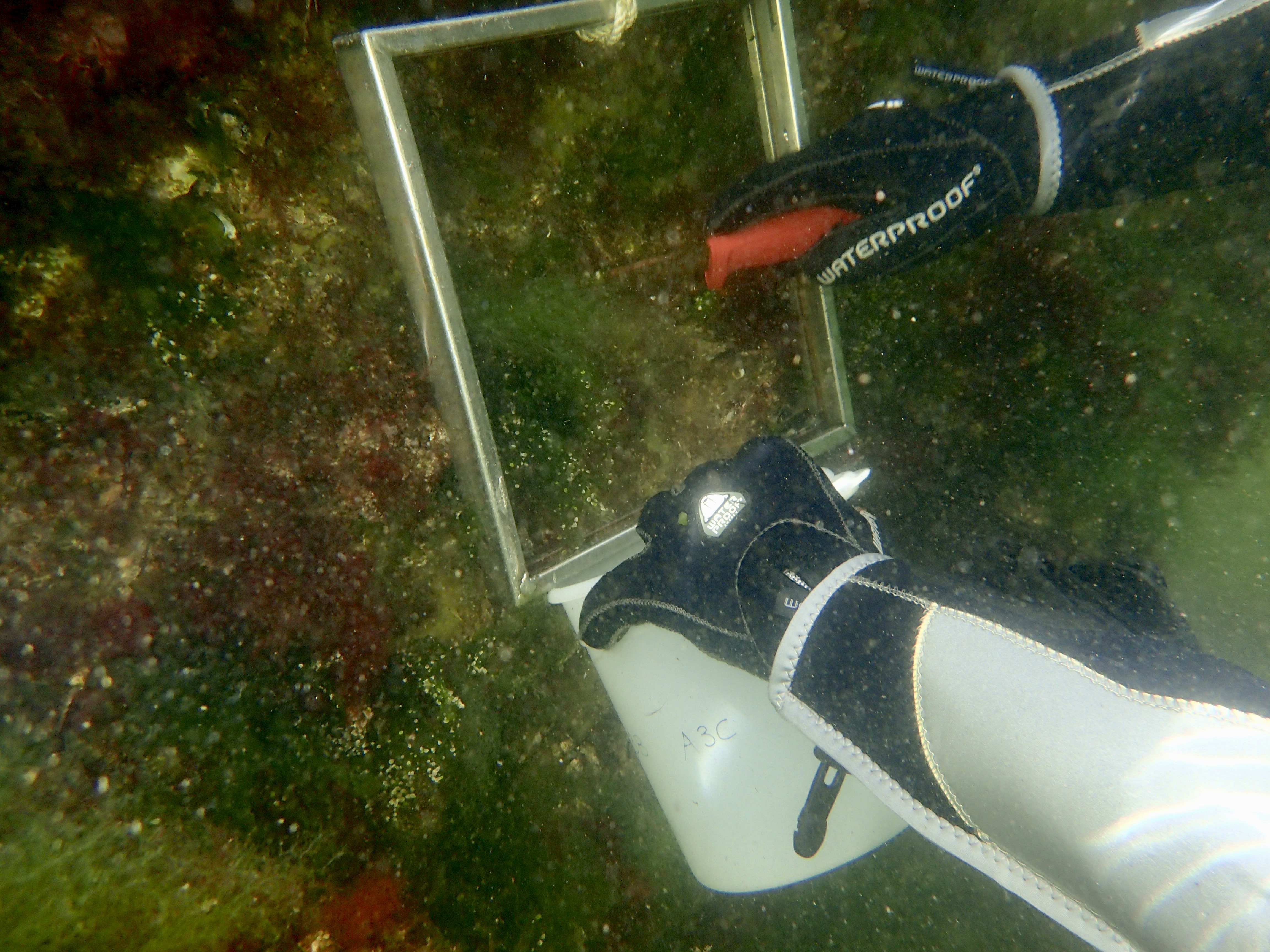 Field sampling